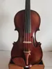Master 4/4 Modèle Stradi Violin étalé Flame Maple Back Old Spruce Top Hand fait K3952