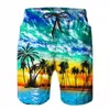 Herren -Shorts in Übergrößen gerade 3D -gedruckte Männer Strandshorts im hawaiianischen Tarnstil, locker und lässig