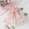 Girl's Dresses Baby Girls Tulle Dress Floral Embroidered Mesh Birthday Party Dress Sleeveless Sling Toddler Girl Casual Clothing Princess Dress
