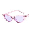 Zonnebrillen Kleine Cat Eye Women Purple White Transparant Leopard Ladies Tiny Sun Glasses Retro Vintage Festival Oculos