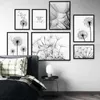 ers Dandelion dekoracyjny kwiat płótno plakat sztuki plakat Nordic nowoczesny malarstwo czarno -biała ściana elegancka zdjęcie salonu J240505
