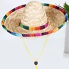Cappelli di abbigliamento per cani per gatti cagnolini cognomi grandi grandi decorazioni della treccia di paglia decorativa messicana