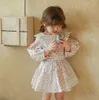 Girl's jurken Koreaanse stijl lente meid shirts lange puff mouwen roze blauw kanten turn down kraag baby prinses jeugdkleding H240507