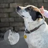 Appareils pour chiens mini brillance ID de chat Nom Tags de bijoux pour animaux de compagnie