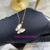 Designer Luxury 1to1 Collier Vancllf original V Gold Butterfly High Quality CNC White Fritillaria Mother Shell Ensemble avec Diamond 18K Rose Collar Chain New Natural