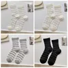 Frauen Socken mit mittlerer Röhre Seide Anti-Friktion Fuß Schweiß absorbieren transparentes Glas Ultra dünner Frühling und Sommer