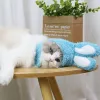 Huizen schattige kattenkap bunny kostuum warme hoed nieuwjaar vakantie feest hoofddekselcosplay rekwisieten hoofddeksel huisdier kitten accessoires benodigdheden