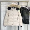 Designer rockar kläder den bästa kvaliteten g29 wyndhampraka mens kvinnor rockar anka ner jackor vinter utkläder parka lady jacka dunkss