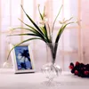 Vasi decorativi a strisce decorative decorazioni minimalista tavolo centratavola mobile vaso trasparente di alta qualità liscio