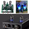 Verstärker HiFi -Rohrverstärker -Kit Stereo Stereo Elektronikrohr Vorverstärker -Board -Verstärker -Modul Gallenverstärker -Effektteile