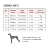 Truelove Pet Harnesspet Correo de correa de set de 110 cm200cm All-in-One Reflective Dog Arnés sin tirar hebillas ajustables Drop 240506