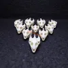 Esculturas 1/2/5/10pcs Real Turtle Skull/Trionyx Sinensis/Animal Bone