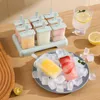 Herbruikbare ijsje Popsicle mal Diy pop -mal Zelfgemaakte bevroren dessert Ice Box Ice Lolly Mold Ice Cube Tray HW0244