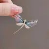 Pinos broches womens retro dragonfly broch