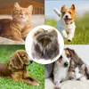 Köpek yakaları 2024 aslan yele bir kuyruk ve kulaklarla siyah/kahverengi/kırmızı/whtie kedi perisi evcil hayvan