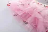 Tutu Dress Pretty Presidered Girls Mesh Princess Tutu Skirt Summer Chlid Fashion Tairts Valentines Valentines Day Party Dance Cloths 2-12t D240507