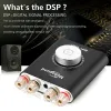 Amplifikatör Douk Audio Hifi NS20G HIFI DSP Stereo Kulaklık Amp Mini Bluetooth 5.0 TPA3116 Dijital Güç Amplifikatörü 200W Adaptör olmadan