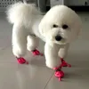 Обувь для любимых собак
