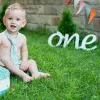 Miniatures One Sign Photo Prop for First Birthday Photo Shoot for Babies Wooden Number Sign Photographer Number Sign