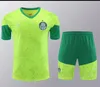 24 25 Palmeiras Tracksuit 2024 2025 Palmeiras Sportswear Training Staim短いスーツサッカージャージーキットユニフォームチャンダルアダルトスウェットシャツベストセット