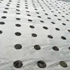 5holes 0,95 * 50m 0,02 mm Jardin noir Greenhouse Vegetables Membrane Agricultural Plants Mulch Seemding Plastic Perfoated PE Film 240506