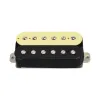 Accessori Fleor 1pc Zebra Electric Guitar Pickup Double Coil ALNICO 5 Pickup Humbucker Parti di chitarra, Neck Or Bridge