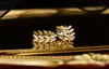 Stud Luxury 14k Real Gold Leaf tarwe oorbel voor vrouwen charme ingelegde parel oorbellen bruiloft sieraden verjaardag jubileum cadeau-2286869