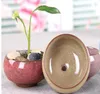 Arden Planters Flower Pots Planters 50PCSLOT MICROLANDCHAFT MINIジューシー植物花Vase Flowerpot Terrarium Container Min7161687