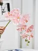 Fleurs décoratives Hand Senture Phalaenopsis Simulation Décoration de fleur Décoration de salon Arrangement de table à manger art floral halto
