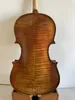 Master 15.5 Model Viola Maggini Famed Maple Back Spruce Gone Ręka rzeźbiona 3810