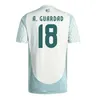 2024 2025 MEXICO SOCCER JERSEY