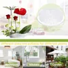 Vaser Floral Round Flower Arranger Multifunktionellt arrangemangsverktyg Clear Pin Home Decor