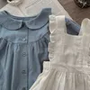 Kledingsets Nieuwe lente herfst baby meisje zoete set Peter pan kraag blauw geruit shirt beige ruch ruffel band jurk mode pasgeboren kleding H240507