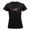 Women's Polos Roadrunner Running T-shirt Shirts Graphic Tees Korean Fashion Hippie Clothes T-shirts For Women Funny
