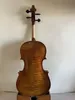 Master 15.5 Model Viola Maggini Famed Maple Back Spruce Gone Ręka rzeźbiona 3810