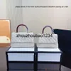 Сумки CF CC Tote Chanei Bag Designer Lizard Patterd Rander Laignskin Кожаные женские сумки для ковки цепь мешки с поперечным кулаком модные сцепления.