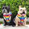 Harnaiss mode français bulldog plomb laisse harnais bulldog bulldog frenchie réversible harnais chiot petit chiens gilet pour entraînement de marche carable