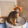 Maisons chapeau de chat en coton avec trous d'oreille pour sphynx sphinx chats sans cheveux chaton devon rex écran solaire de voyage de randonnée de randonnée