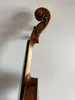 Master 4/4 Stradi Model Famed Maple Back Spruce Top Hand Made K3258