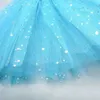 Tutu Dress Girls Tulle Star curto Tutu Salia Crianças Fancy Ballet Dance Awear Festume Vestido de Ball Mini Skirt D240507