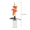 Fiori decorativi 2 pezzi bonsai orchide realistica orchide finta pianta di fiori in vaso ornamenti artificiali piante finte piante desktop