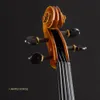 Professionelle Geige V09d Ebony Fitcies Ein Stück Flammen Maple Back