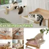 Scratchers Cat Fenster Barsch Catfenster Hängemattensitz für Innenkatzen stabil verstellbares dauerhaftes, konstantes Katzenbett und sorgt für einen Allaround -Sonnenbad