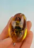 Zeldzame Amber Beetle Amber Beetle Pendant0123456789107955110