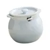 Bouteilles de rangement Récipient de cuisine avec couvercle cuillère décorative en porcelaine pot