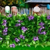 Fleurs décoratives Feuille de clôture extensible simulation Ivy Look Unique Look Privacy Screen Accessoire pour murs Courts Balcons Escaliers