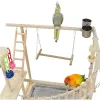 Zit Parrot Interactive Playground, Parrot Training, Solid Wood Stand Stand Stand Bar Stand Bar Bird Supplies Stand Bar
