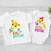 Famille Assorage des tenues Big Sister Little Brother Famille Matching Vêtements Girafe Print Boys Girls T-shirt Toddler RAIPER KIDSTOPP