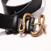 2019 Belt Luxury High Quality Designer Belts Fashion Metal Buckle Snake Animal Pattern Buckle Belt Mens Womens Belt Q-3 2691