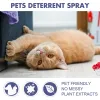 Cat à ménager Scratch Spray Spray Natural Scratching Training Aide Spray pas Stimulation Orange Fragrance Sofa Meubles Protégeurs